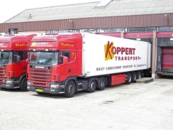 Scania-164-L-480-Koppert-Koster-240604-2[1]